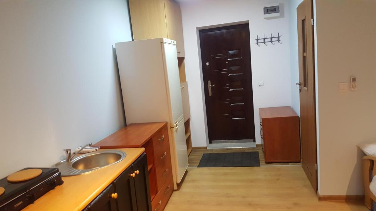 Rokicinska54 Com Appartamento Łódź